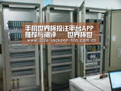 投注app案例展示五