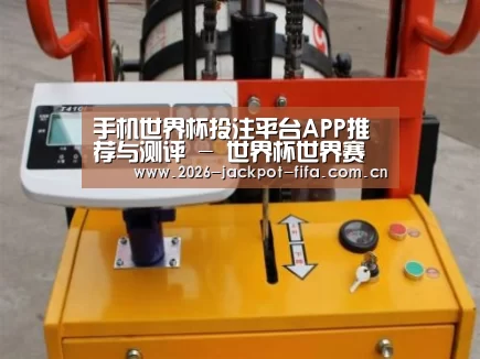 投注app案例展示三