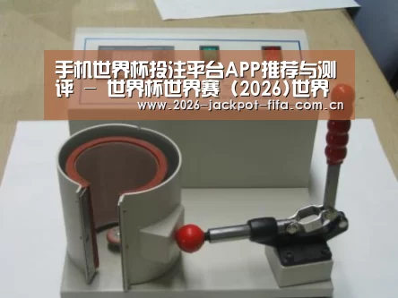 投注app案例展示六